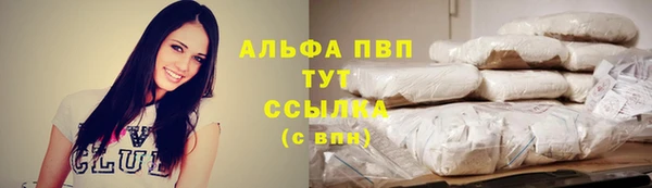 стафф Верхний Тагил